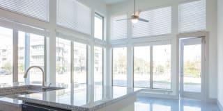 Magnolia on Zang Two Gallery 54