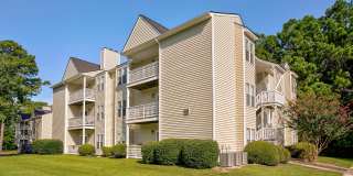 Bluff Ridge Gallery 30