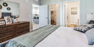 RISE Sereno Gallery 51