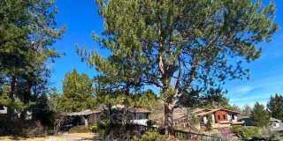 2795 Lake Ridge Shores W Gallery 26