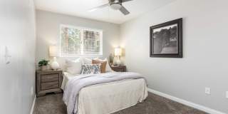 Amara Spring Valley Apartments Gallery 12