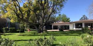 4678 White Oak Ave Gallery 36