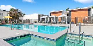 Arrive Laurie Lane Gallery 19