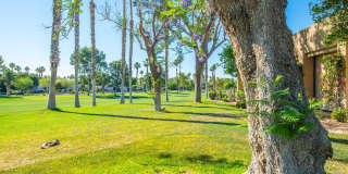 28602 Taos Court Gallery 22