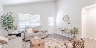 7019 CAPELLA CV Gallery 11