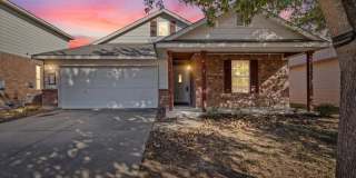 17912 Aleppo Pine Gallery 1