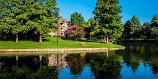 Village Lakes Gallery 9