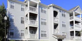 The Lily The Lily Gallery 5