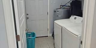 -- -- Gallery 30