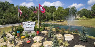 The Lexington Gallery 1