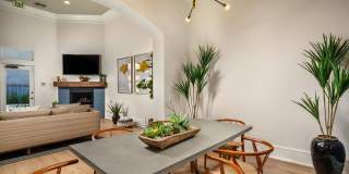 The Heights Gallery 13