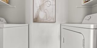 Cielo on Gilbert Gallery 23