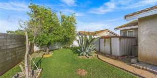 11031 Sierra Tree Gallery 21