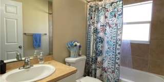 4317 SW Santa Barbara Place Gallery 13
