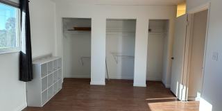 56 Emerald Court Gallery 12