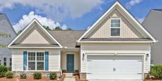 THE PERFECT HOME IN TIMMONS POND Gallery 1