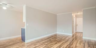 Charming Studio Condo in Platt Park Gallery 8