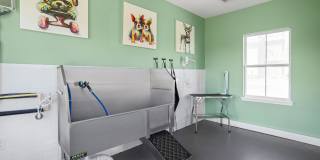 The Ascent Plainfield Gallery 34