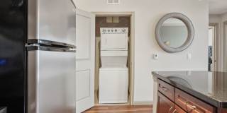 Forum on San Felipe Gallery 13