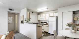 Maison's Landing Gallery 35