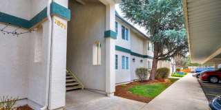 The Pines Apartments Gallery 4