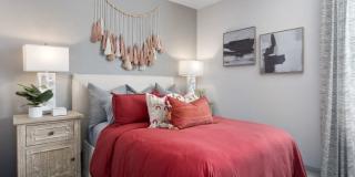 Alta Surprise Gallery 7