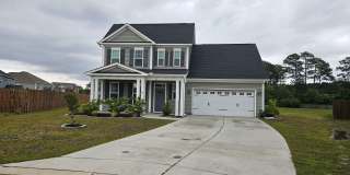 Beautiful 4 bedroom, 2.5 Bath unfurnished home located in Songbird Landing Community - Hampstead Gallery 1