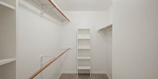Forest View Gallery 11