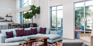 Olympus Corsair Gallery 18