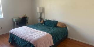 Charming 3BR Condo in Aurora Gallery 16