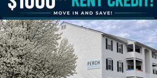 The Perch on Commonwealth Gallery 1