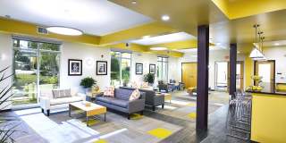 Cornerstone Village Gallery 4