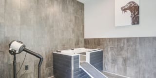 The Edison Sugarloaf Apartments Gallery 27