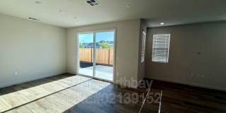 109 Clownfish Street Gallery 4
