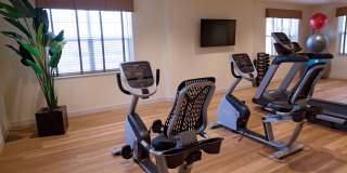 475 Bellamy Lane, 1001 Gallery 16