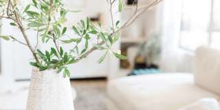 Garden Pointe Gallery 31