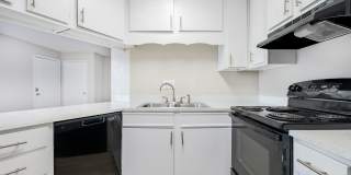 The Dawson Gallery 11