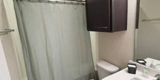 3 bedroom 2 bath open concept Gallery 10