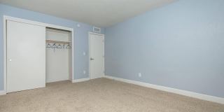Bellevue Towers Gallery 68