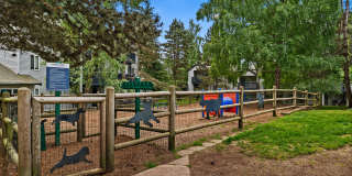 Cascade Ridge Gallery 26
