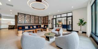 Piper Piper Gallery 33