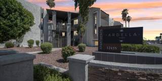 Ardella on 28 Gallery 25