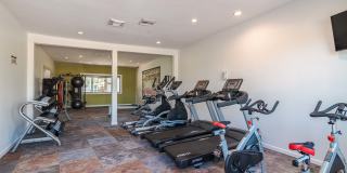 Fusion Fort Worth Gallery 20