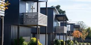 Cottage Court Gallery 62