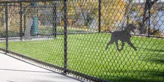 The Ansel Residences Gallery 49