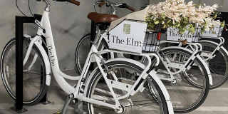 The Elm At River Park Gallery 61