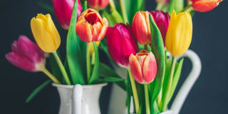 Fox Ridge Apartments Gallery 56