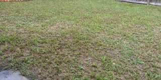 Updated 3 Bedroom Home in Hinesville, GA Gallery 14