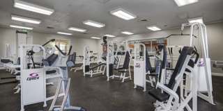 Victoria Place Gallery 65