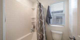 6012 Esmerelda Gallery 6